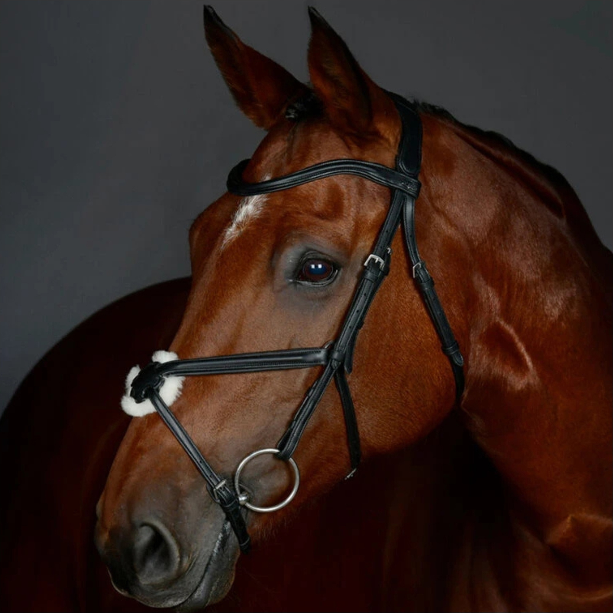Collegiate Comfitec Opulux Plain Padded Grackle Bridle 1025195001 - Black